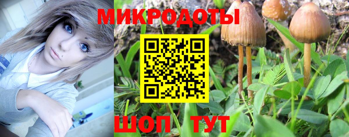 Псилоцибиновые грибы Psilocybine cubensis  Вход с VPN  Псилоцибиновые грибы Psilocybine cubensis  Аша 